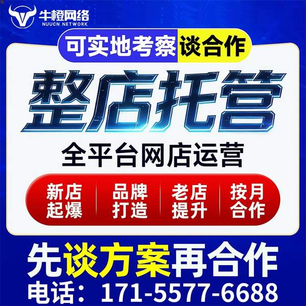 汉中电商代运营