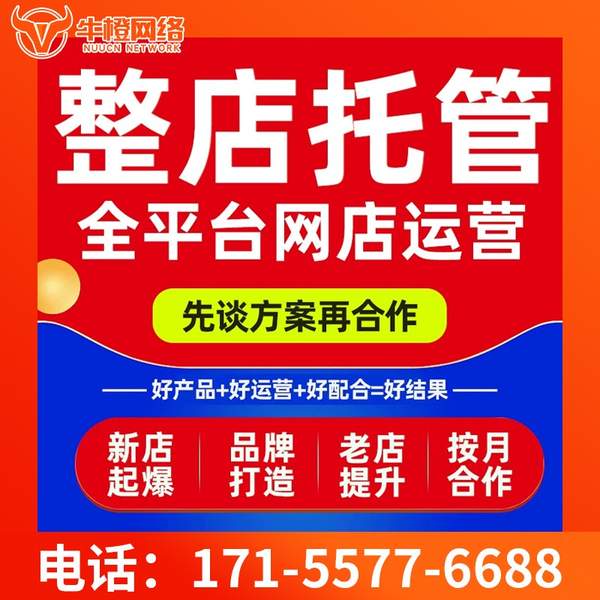汉中电商代运营