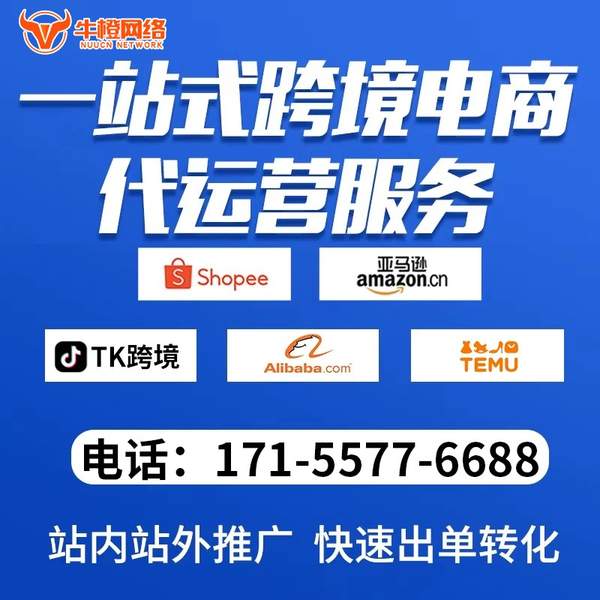 汉中电商代运营