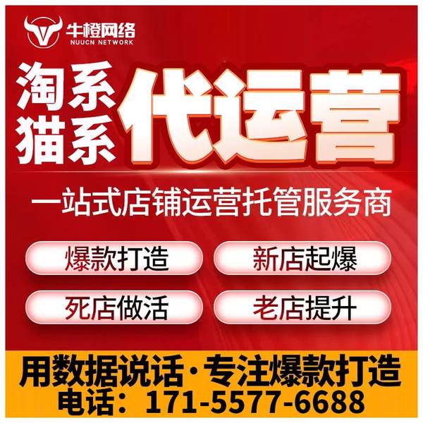 汉中电商代运营